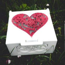 Szkatułka, pudełko z czerwonym sercem - na obrączki ślubne.